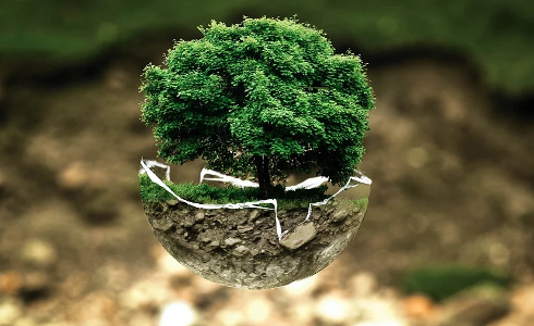 medio-ambiente-PN.png